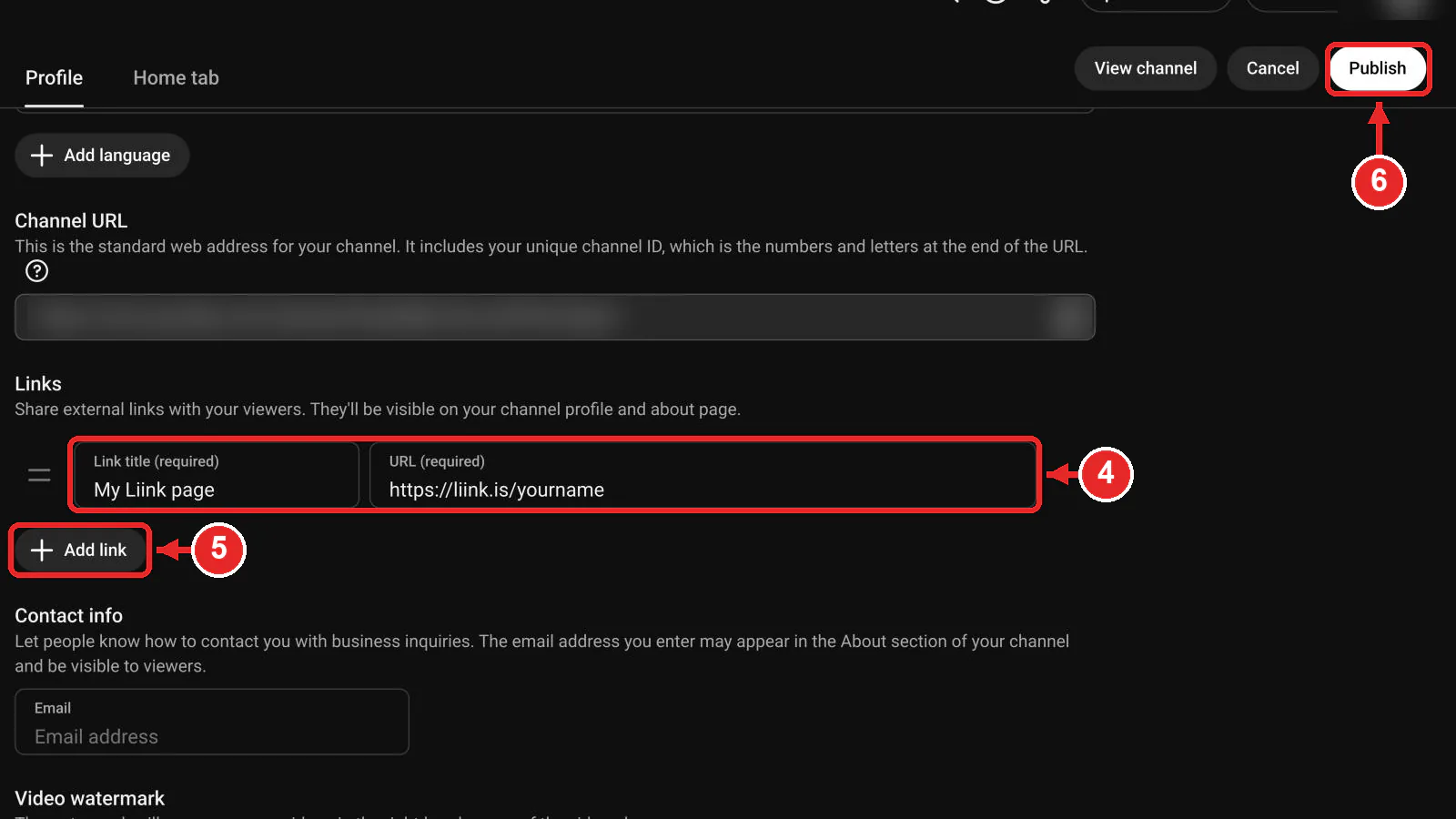 YouTube Studio link row filled with a sample title and URL, the Add link button for more links, and the Publish button, marked as steps 4 to 6