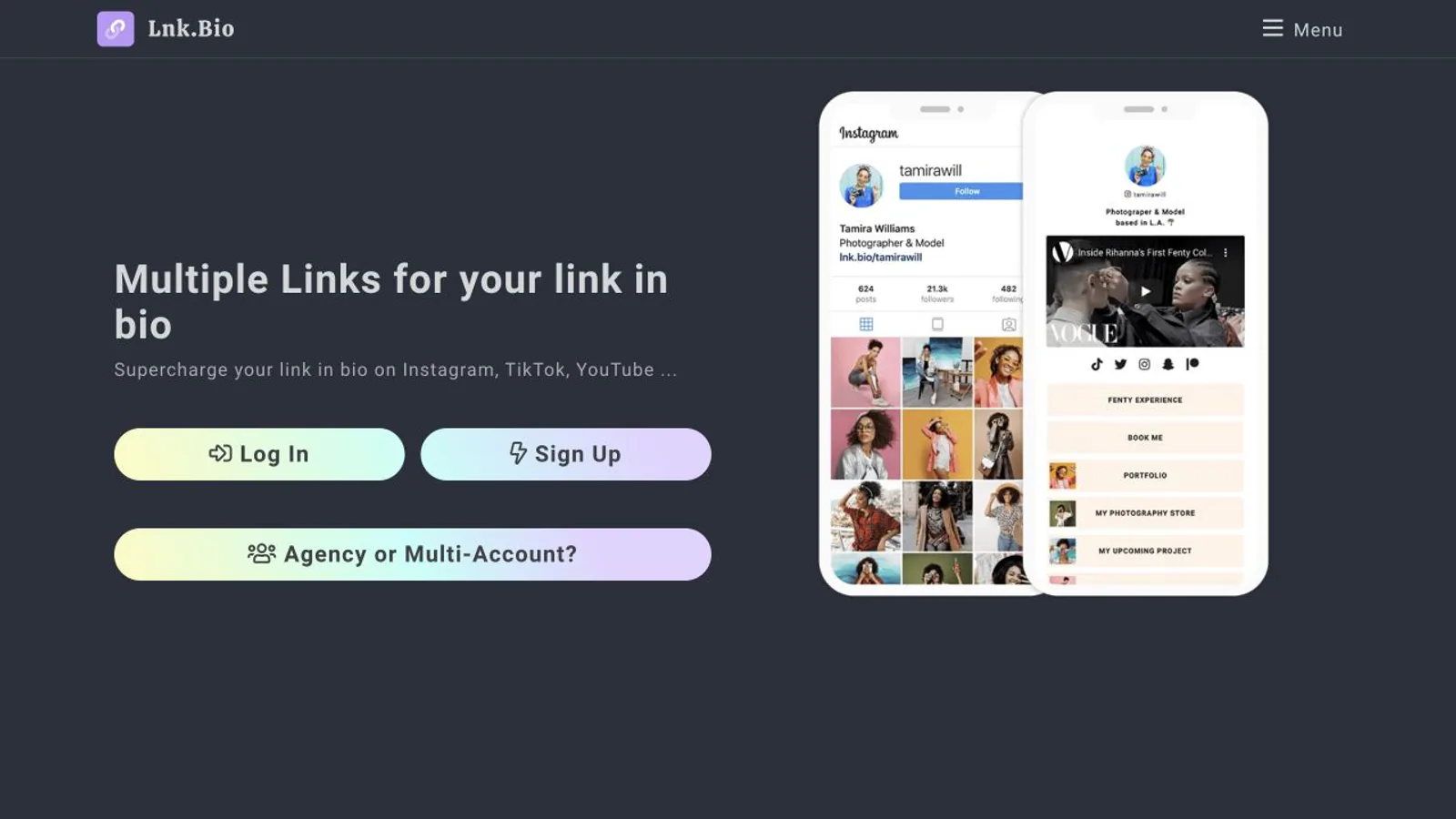 Lnk.Bio homepage showing its straightforward hosted multi-link page.