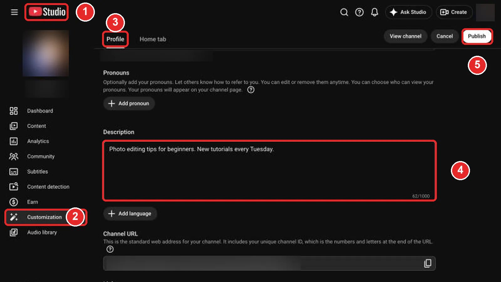 YouTube Channel Description Examples: 20 Templates to Copy | Liink